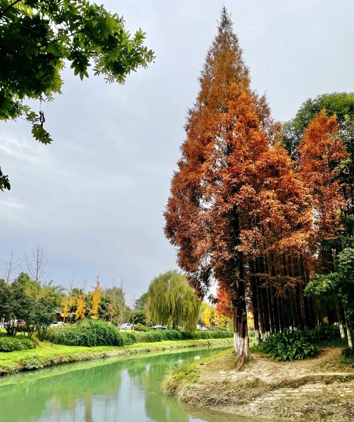 烟雨江湖成都境内宝藏,成都附近小众宝藏旅行攻略