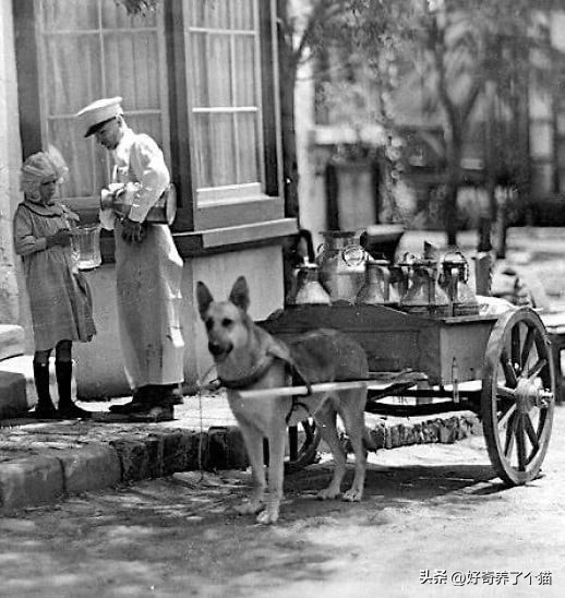 20张罕见图,最罕见的20张图片