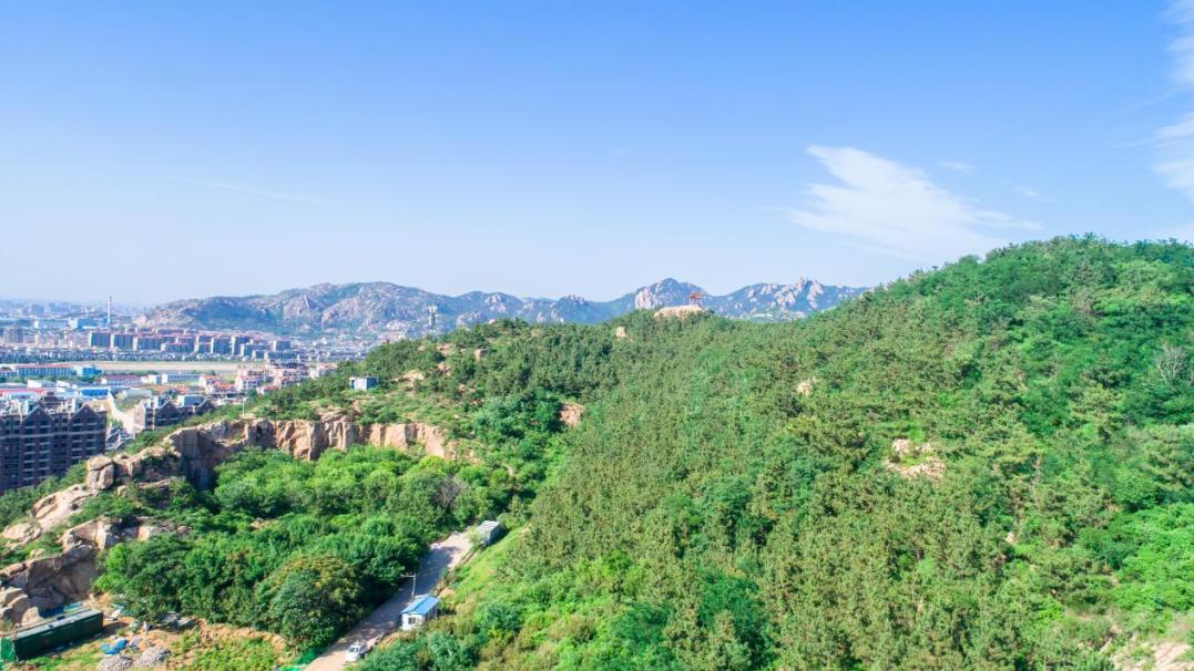 鑫江集团属于什么企业,鑫江集团由来