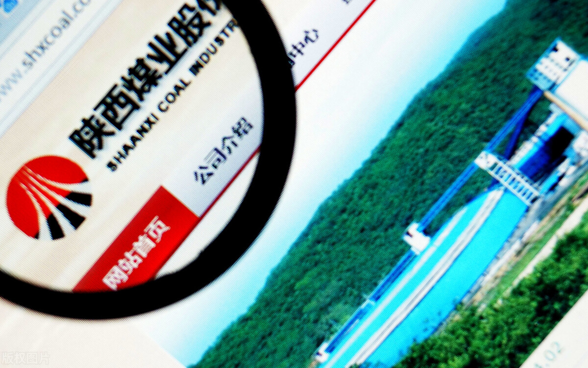 国家队重仓科技股龙头,国家队重仓龙头