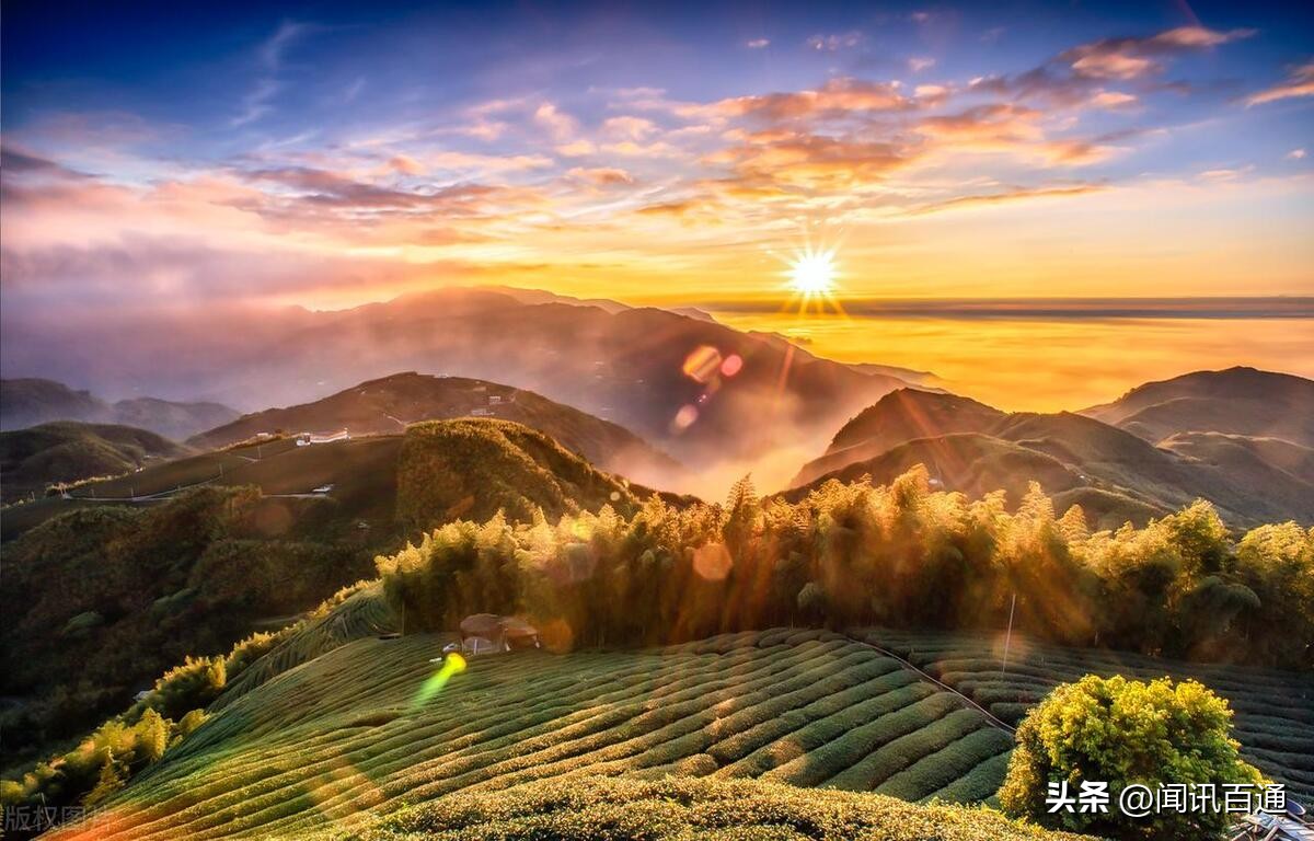 蒙特卡洛算法与人工智能,蒙特卡洛优化算法