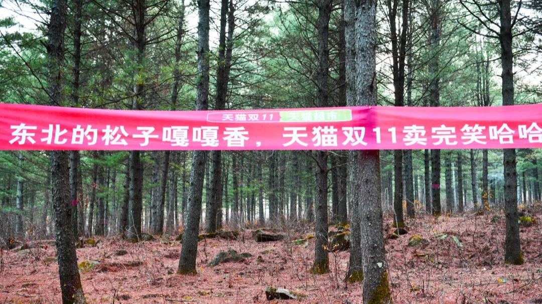 每个人都很优秀文案短句,每个人都很出众文案