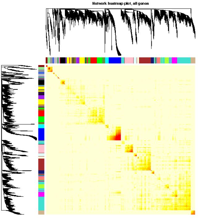wgcna分析用的什么数据,WGCAA分析