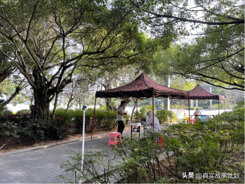 养龟人在江湖,养码人