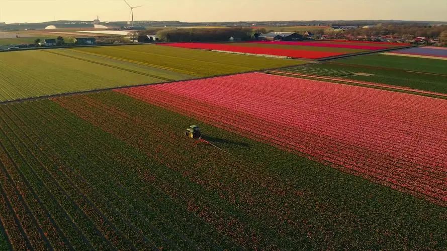 提升农业科技水平,先进农业荷兰