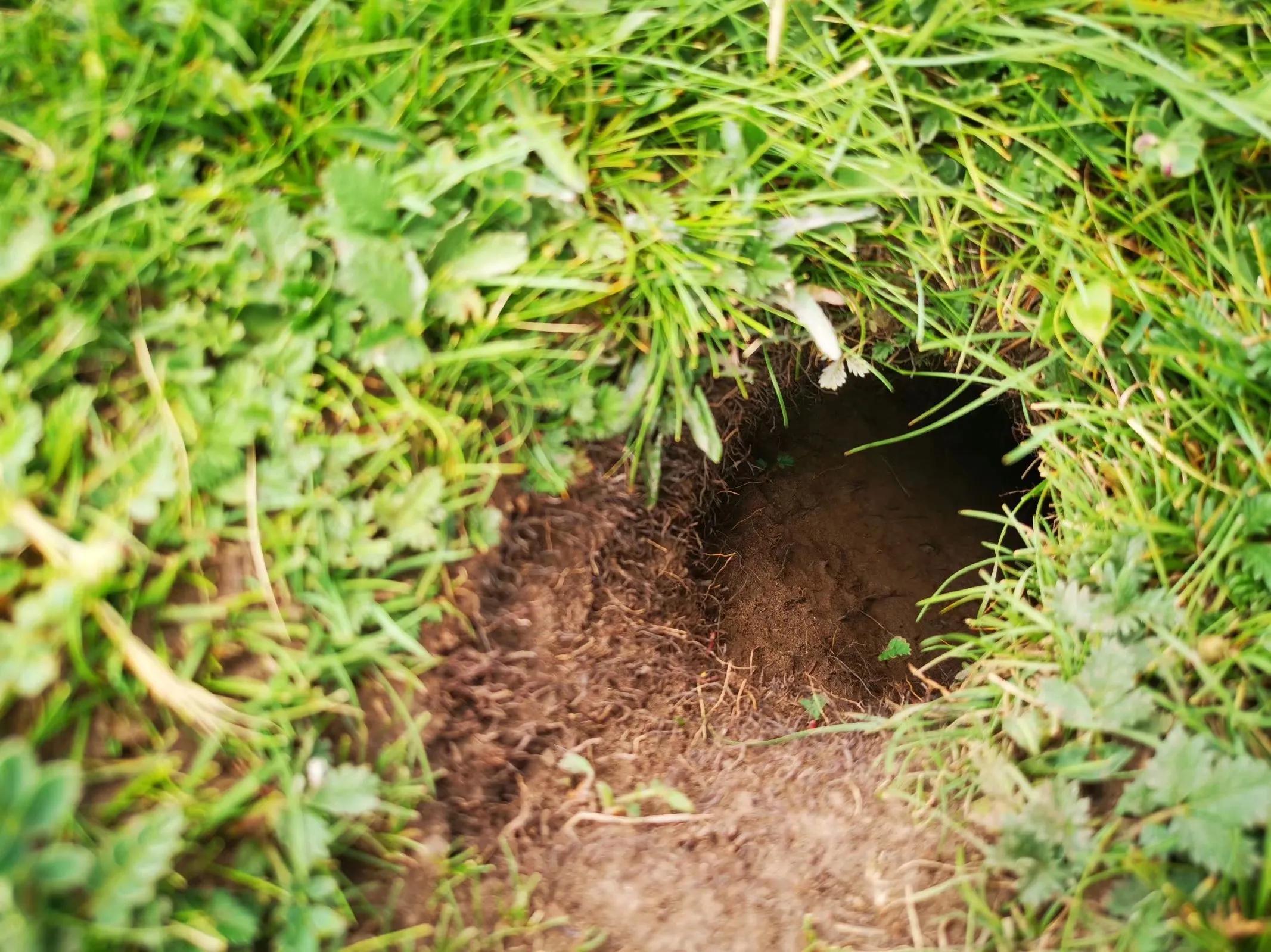 青海跟团游为什么不包餐,什么人不建议去青海旅游