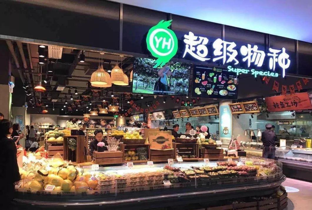 千亿集团破产案例,千亿支付巨头衰败原因