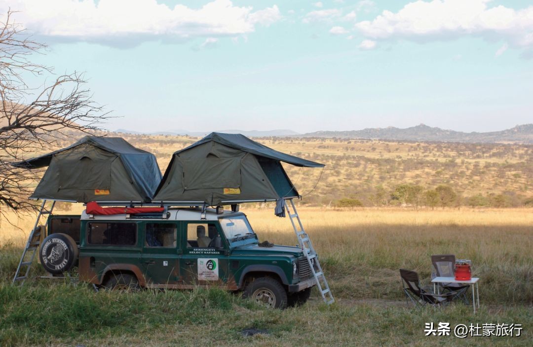 跟随“中国狮子王”，到坦桑看绝色非洲