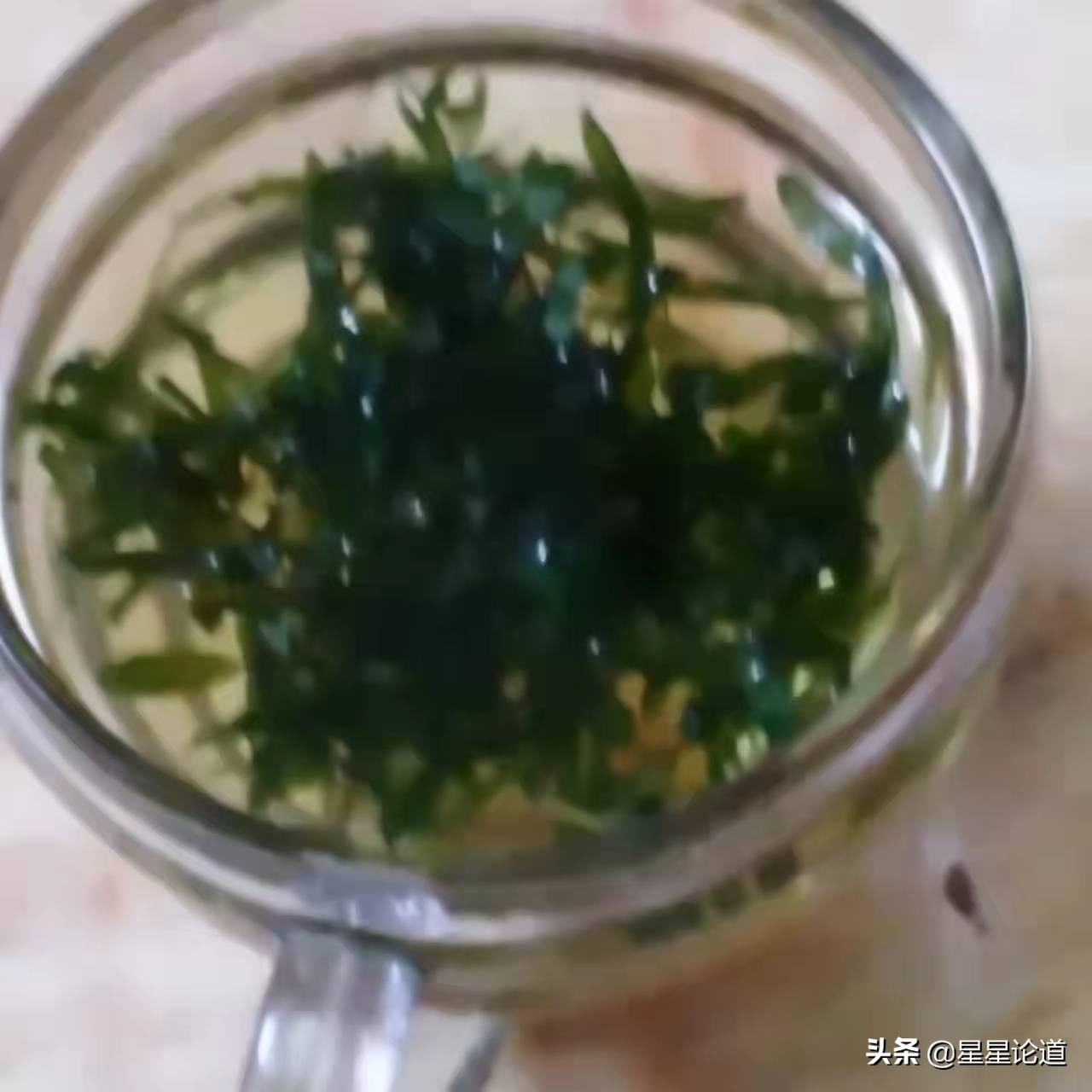 春尝野味菜当先*星星论道