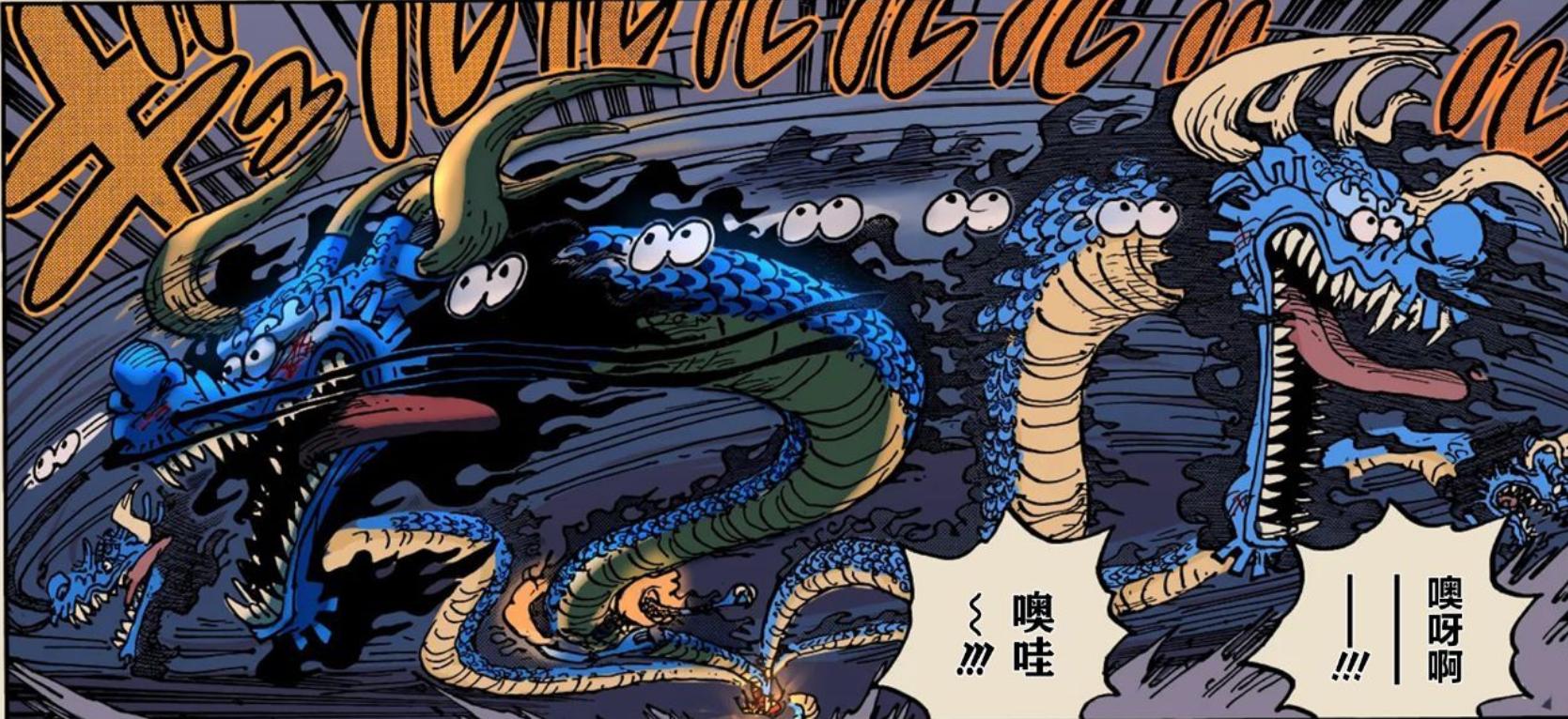 路飞吃的是橡胶果实还是尼卡果实,尾田说路飞唯一没有的果实