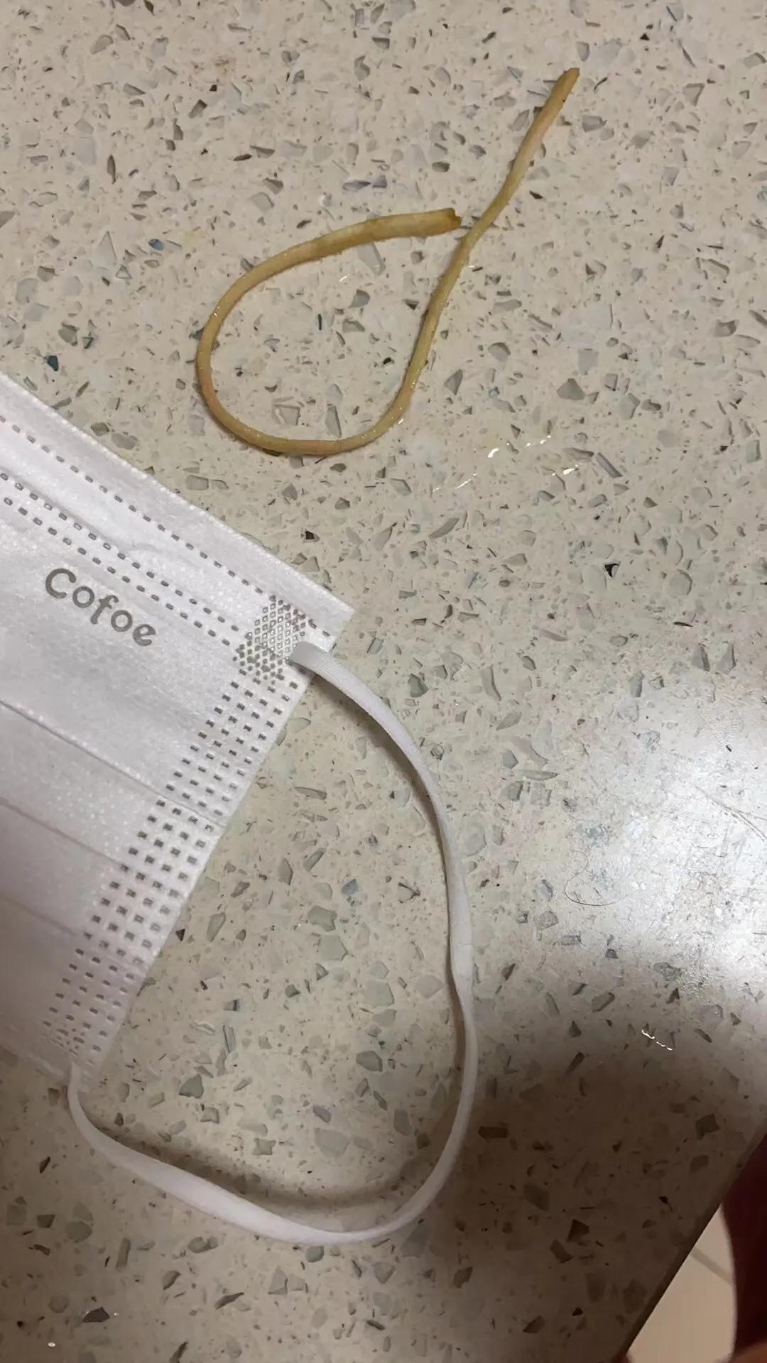 猫吞食异物手术危险吗,当猫要吐的时候怎么办