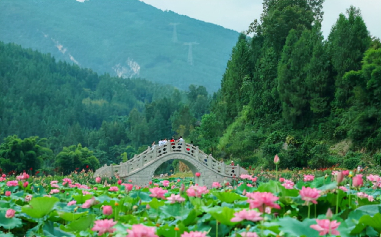 武隆仙女山和芙蓉洞哪个值得去,武隆仙女山一日游最佳景点