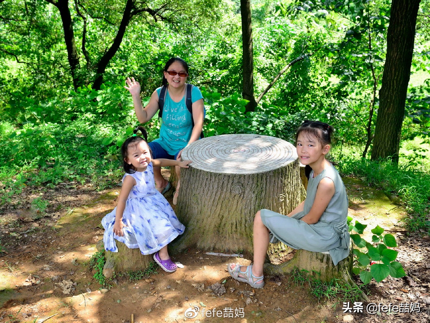 关于小动物的书推荐,好书推荐动物书单
