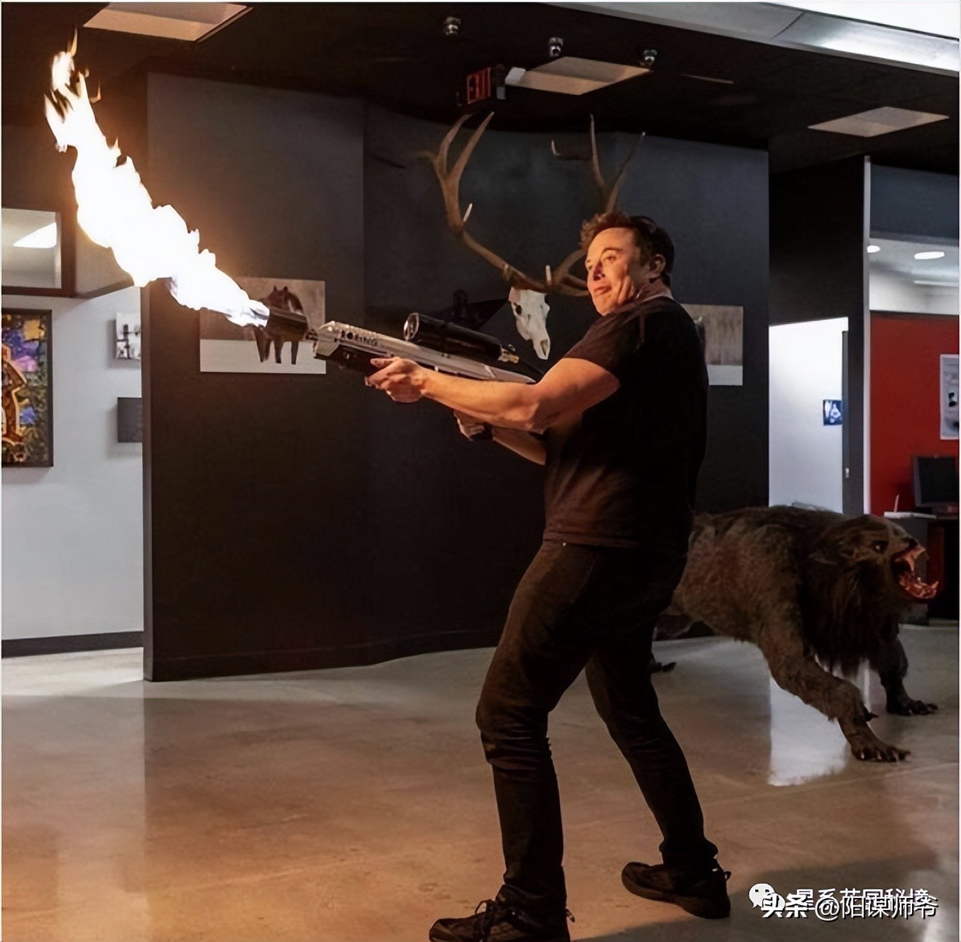 马斯克一开始没钱谁给投资,马斯克没有钱之前做什么