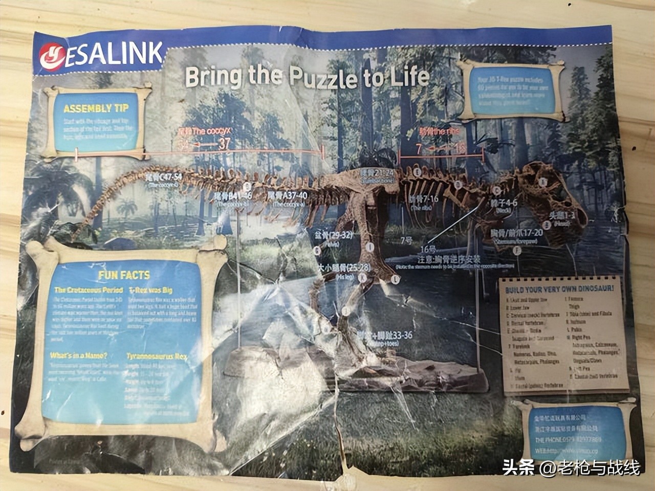 如何制作霸王龙骨架,用硬纸板做霸王龙骨架教程