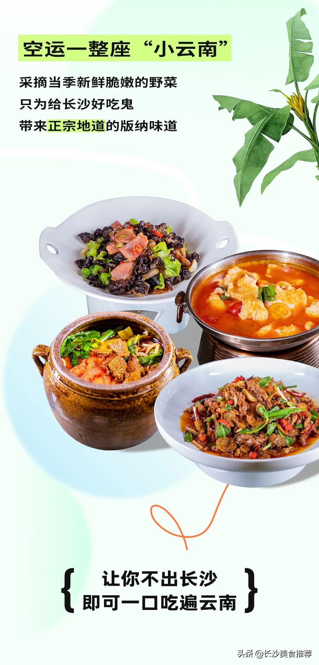 空运整座“小云南”，叶芭蕉春夏限定上新啦