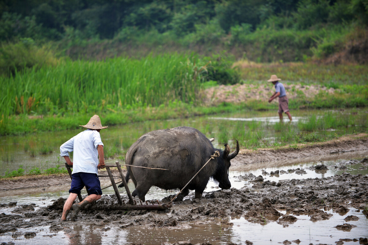 在深圳租一套二手房多少钱,本人在深圳买二手房