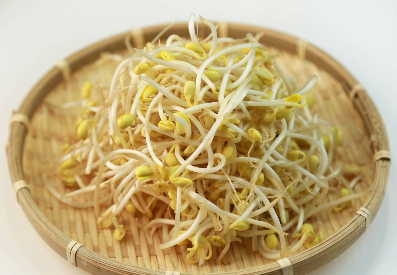 自制免浇水发豆芽,自己怎么做发豆芽神器