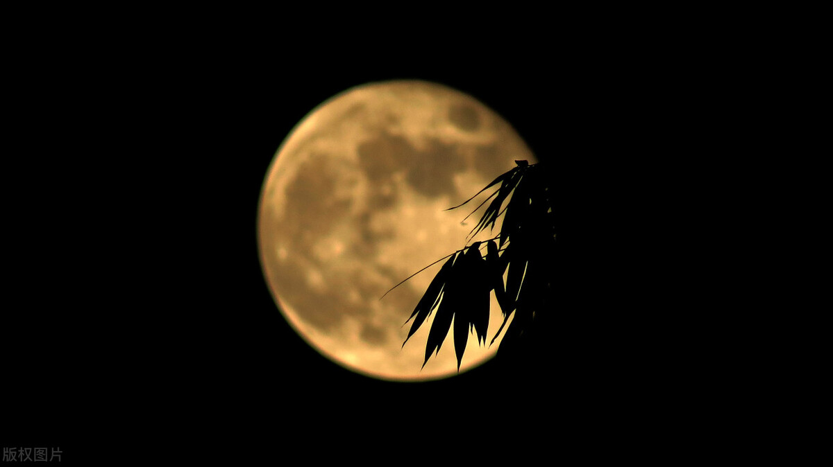 不同月份有什么别称,一到十二月每个月的别称