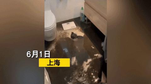 为什么不能买2楼？隔离后返家发现污水遍地，上海一女子很受伤