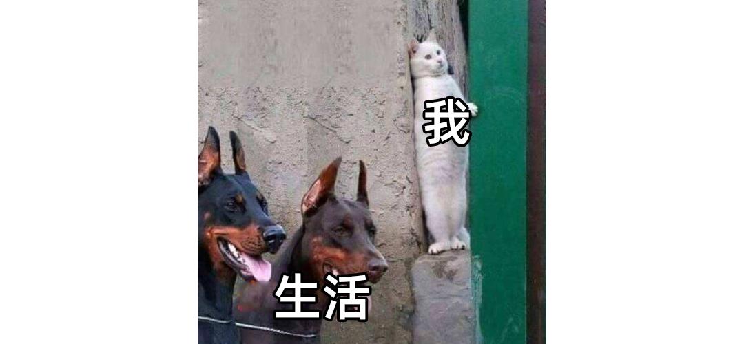 电费超700元？总被二房东坑？大多数人都不知道这些租房套路