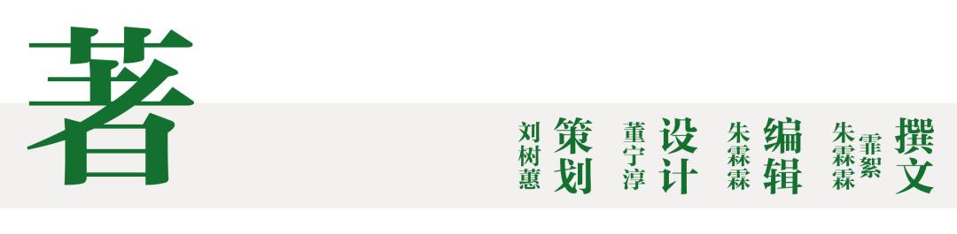 中国美丽的咖啡馆,具有情怀的小资咖啡馆