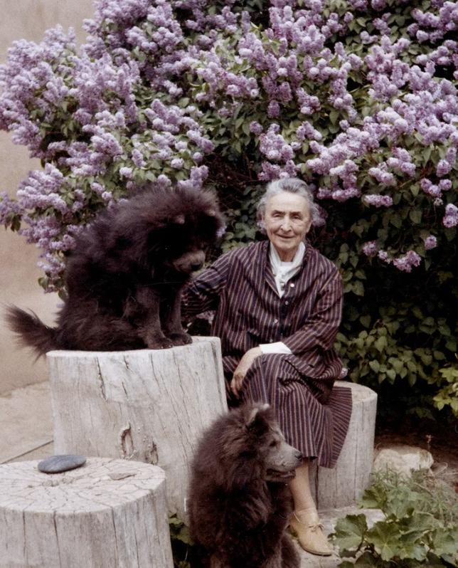 世界知名女画家独居沙漠35年！拒毕加索登门…网友：连家都是艺术