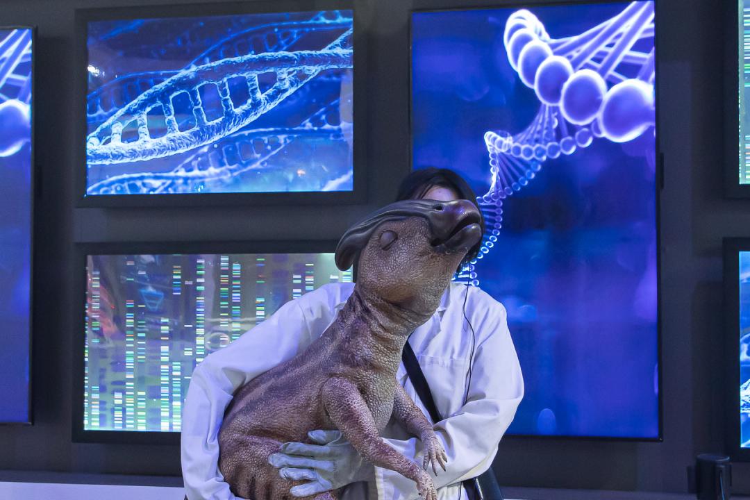 悦汇城2周年活动,悦汇城2周年盛典