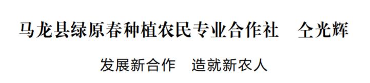 马龙县绿原春种植农民专业合作社仝光辉：发展新合作造就新农人