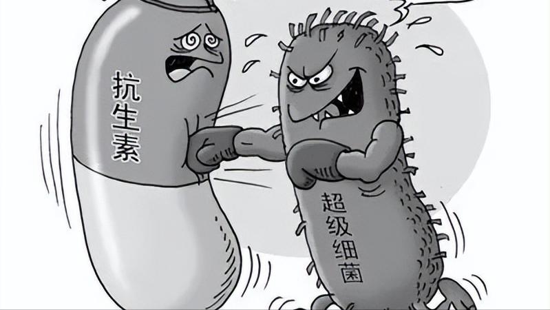 头孢和阿莫西林都是抗生素吗,头孢阿莫西林阿奇霉素有什么区别