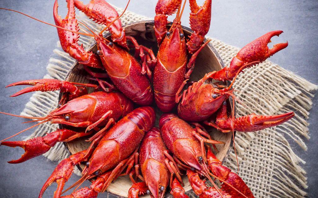 安踏狂潮四新年配色,安踏狂潮四配色上脚