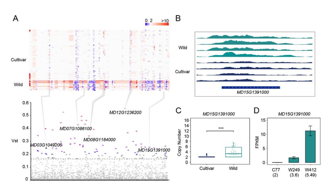 对不同苹果种群，进行拷贝数变异综合分析，CNVs综合图谱有何特点