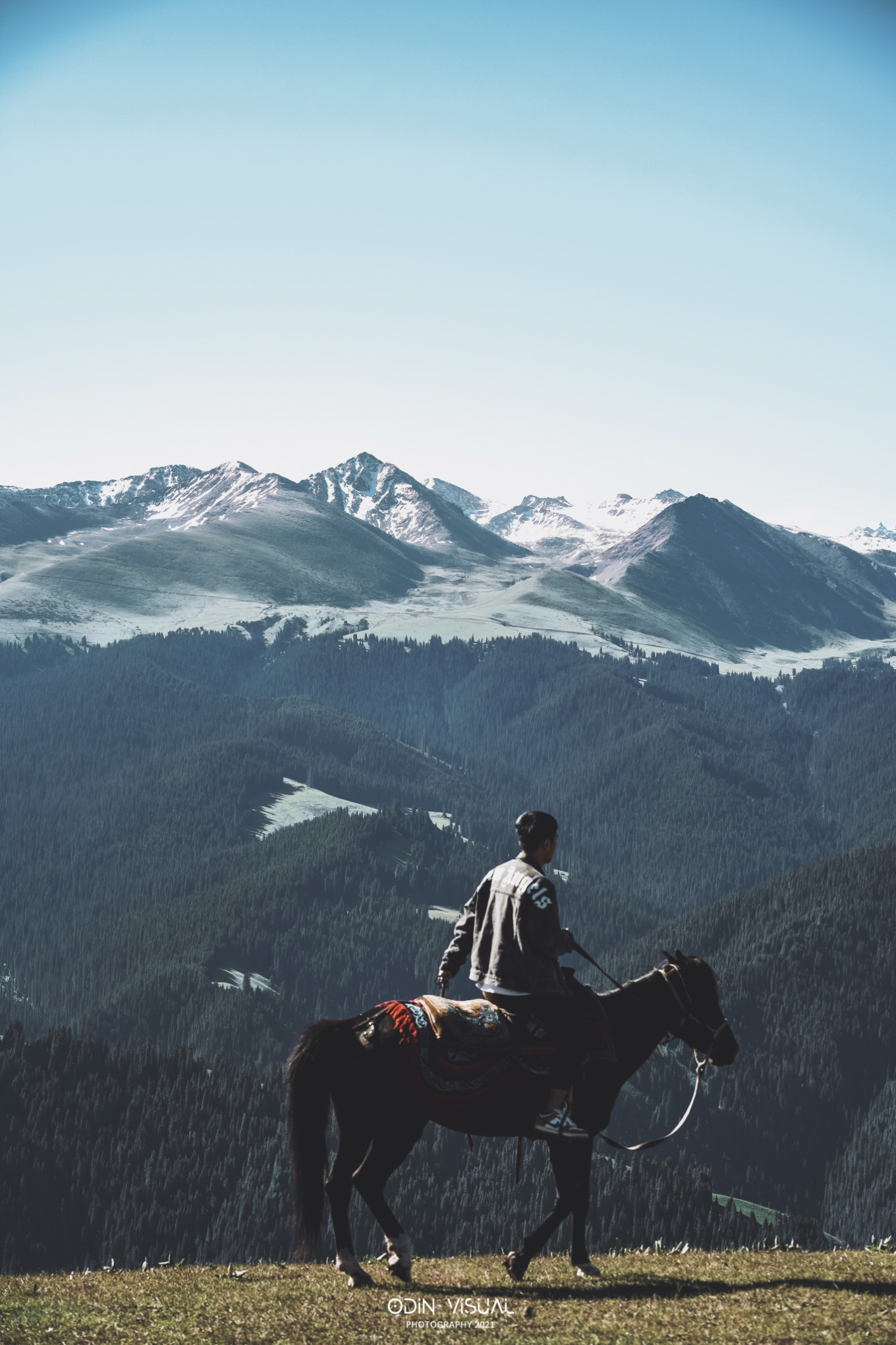 去新疆发现伊犁的美,世界之美尽在伊犁