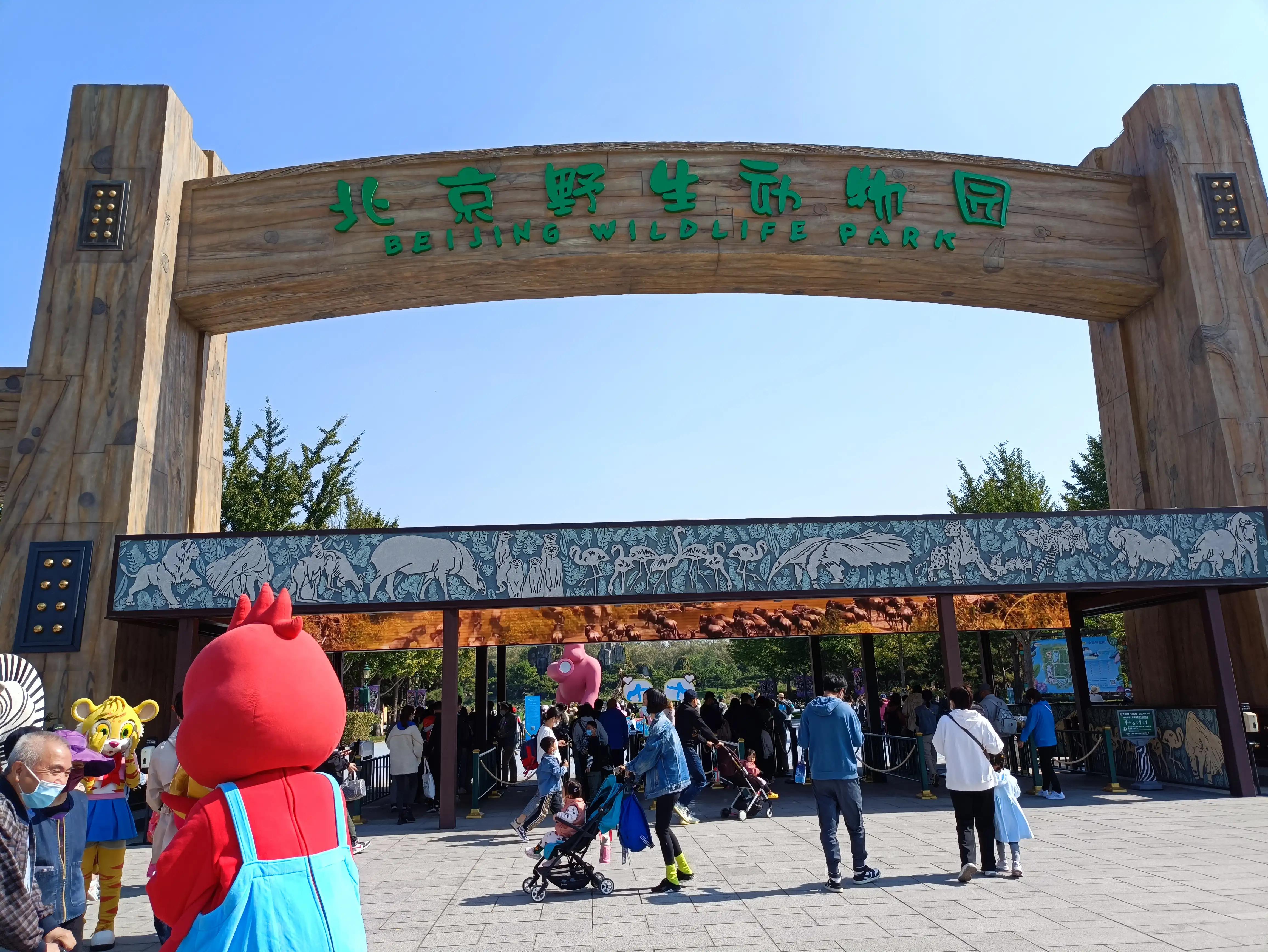 北京动物园和北京野生动物园区别,北京野生动物园狗妈妈和老虎狮子