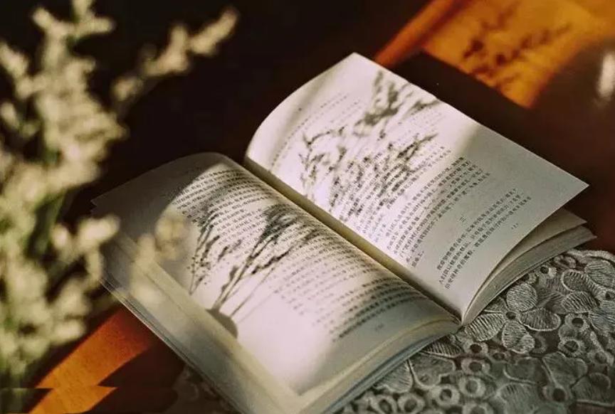 读怎样的书能提高读书效率,读书怎样读好一本书