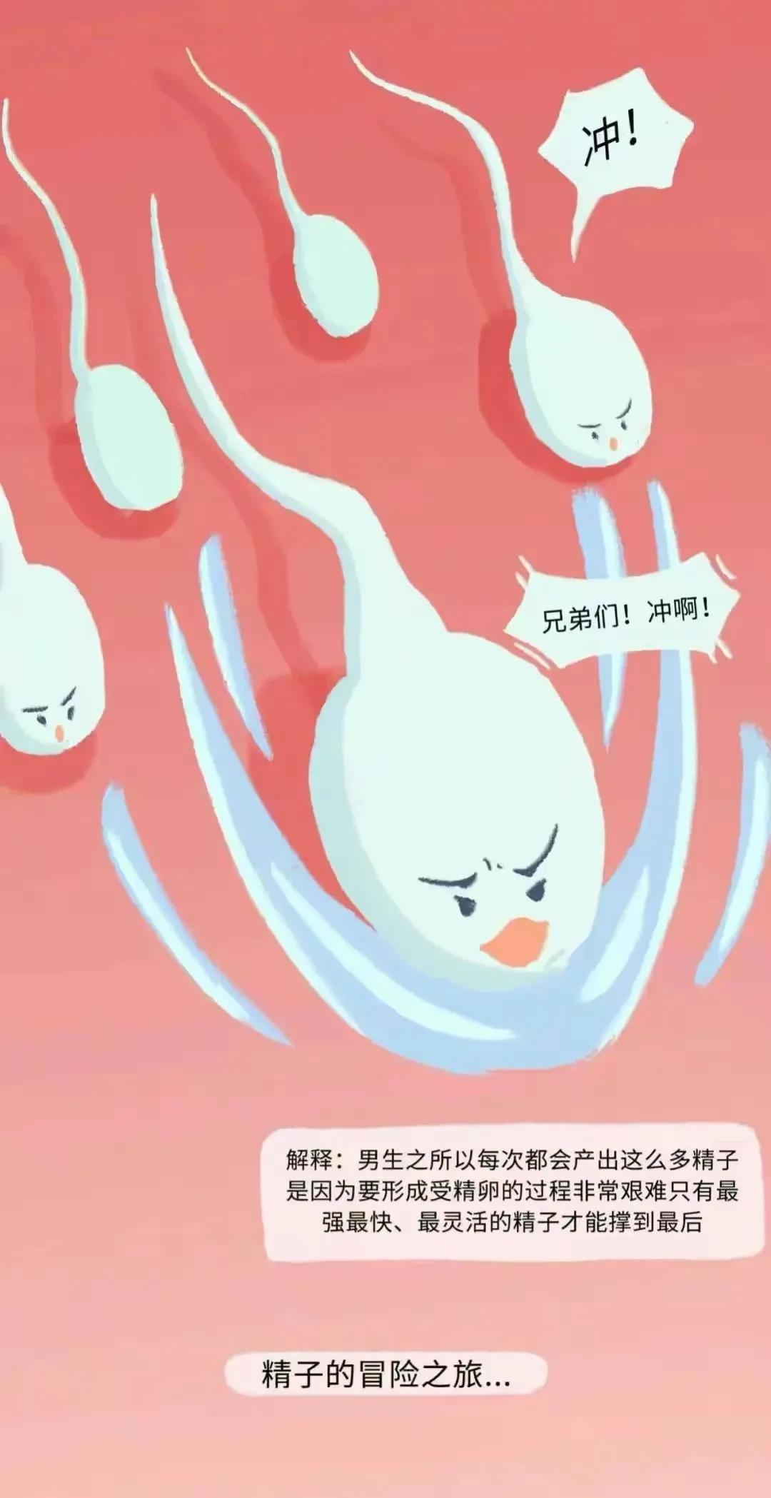 如何怀孕具体步骤图片,女人怎么怀孕的过程