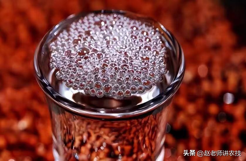 茅台酒厂如何防止员工偷喝茅台酒,茅台酒厂工人能喝多少酒