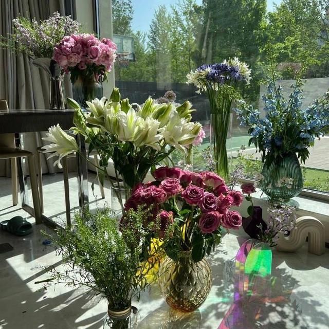 刘芸独栋别墅图片,刘芸北京三院