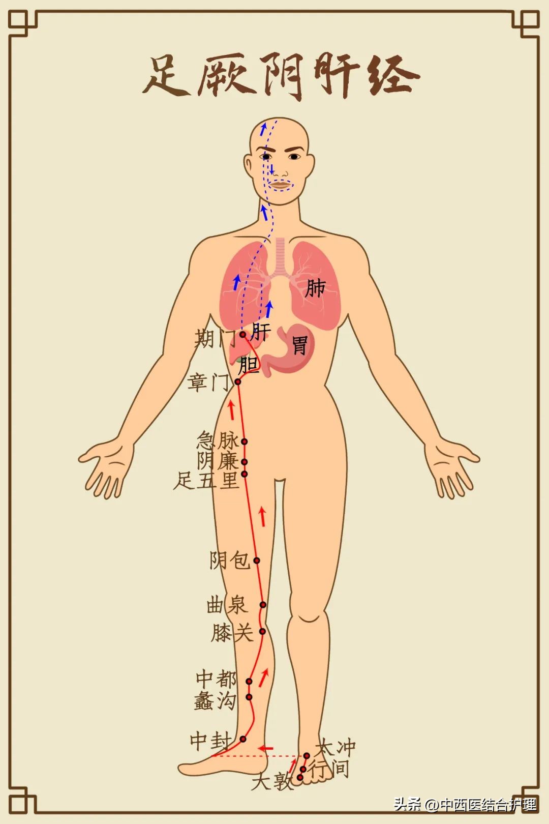瘀堵结节疏通正确做法,身上长了结节记住两个散结穴位