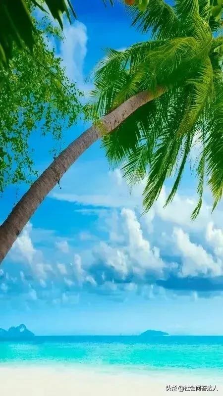 50岁快到了怎样申请退休金,50岁还没有养老金怎么办