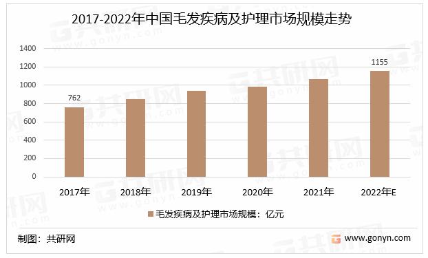 毛发医疗行业现状,2024-2030毛发市场前景