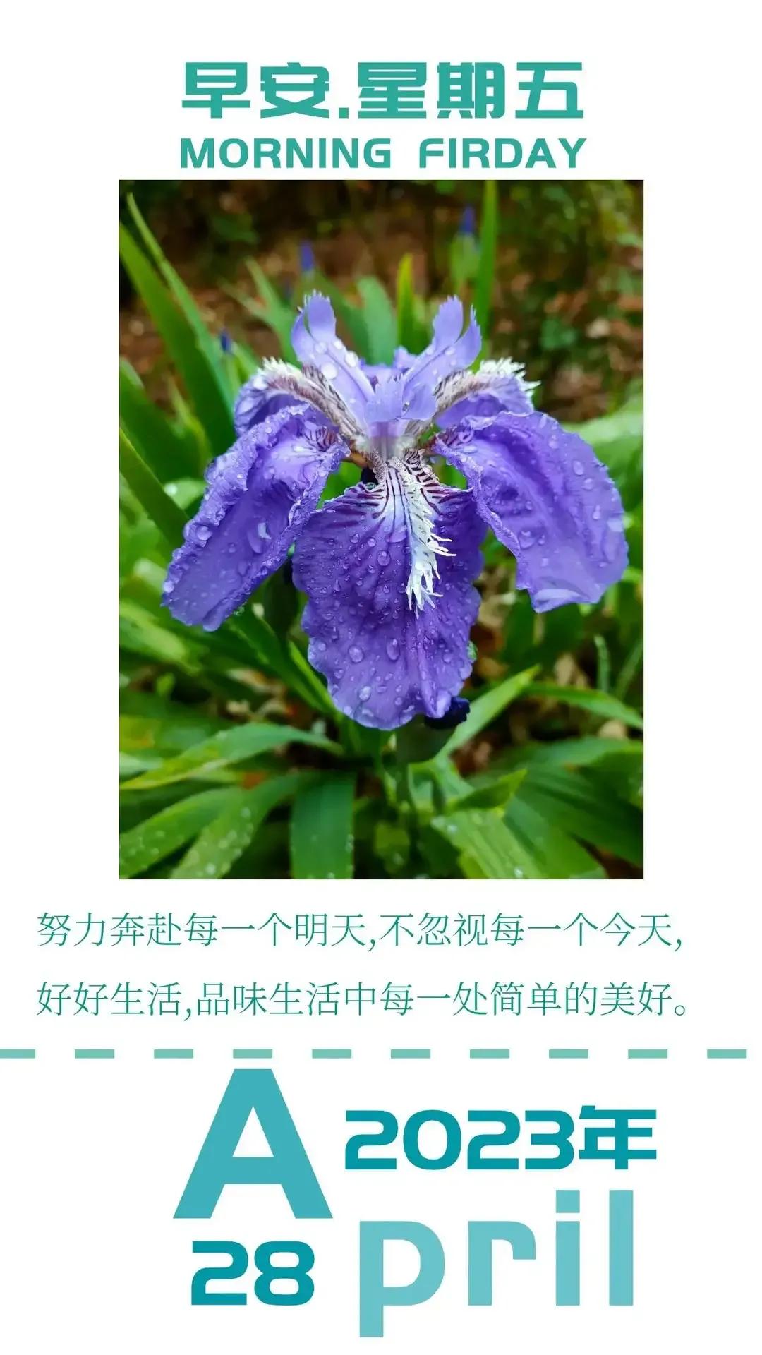 庚子日柱2023年癸卯年运势,癸卯年2023年哪个月出生最好