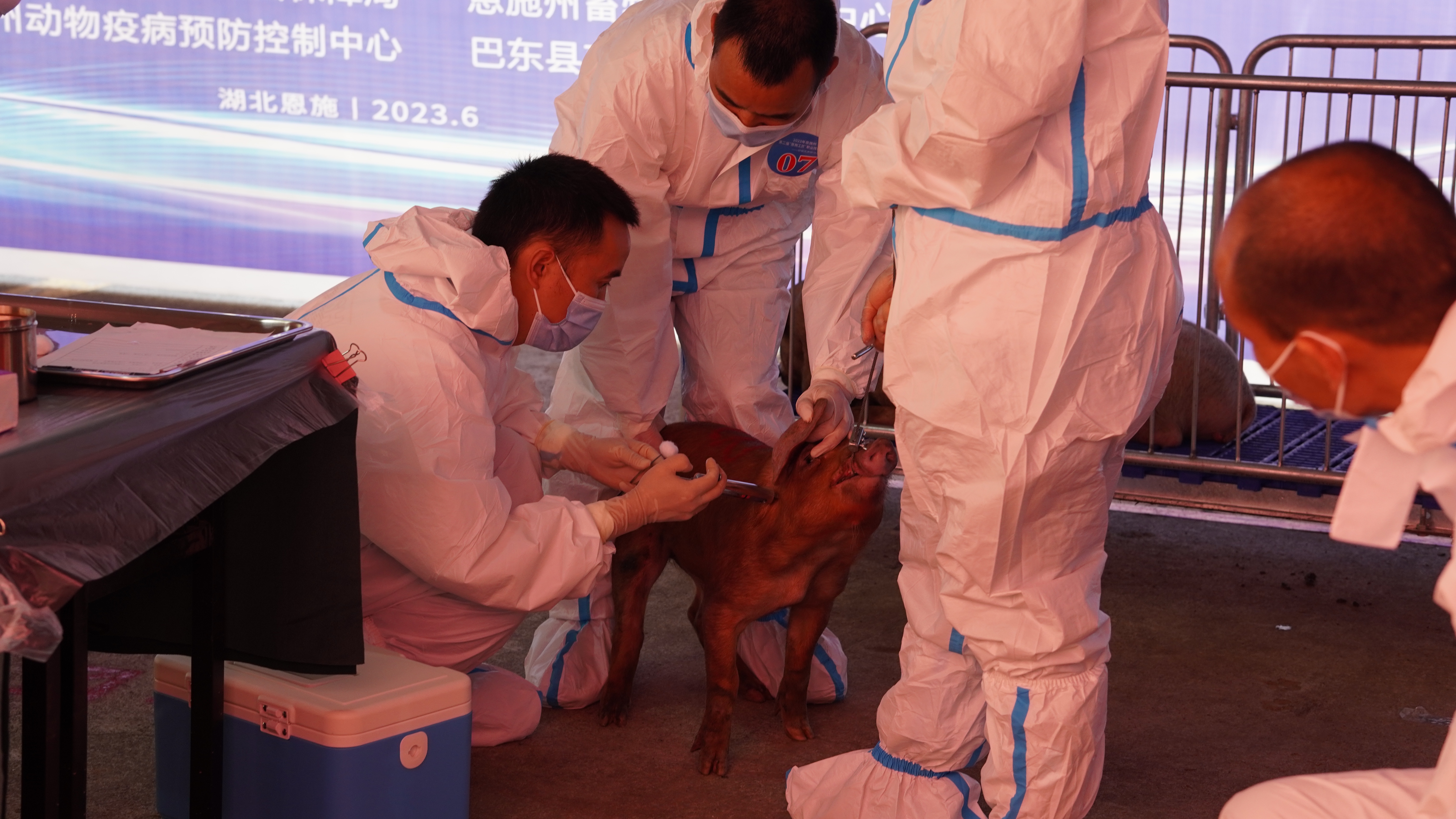 恩施州第二届“恩施工匠”职业技能大赛动物疫病防治员职业技能竞赛圆满落幕