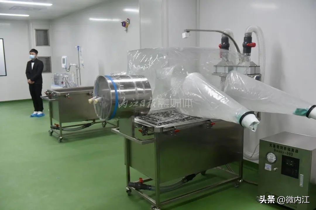 首例人体移植猪器官,中国首例猪器官移植人体实验