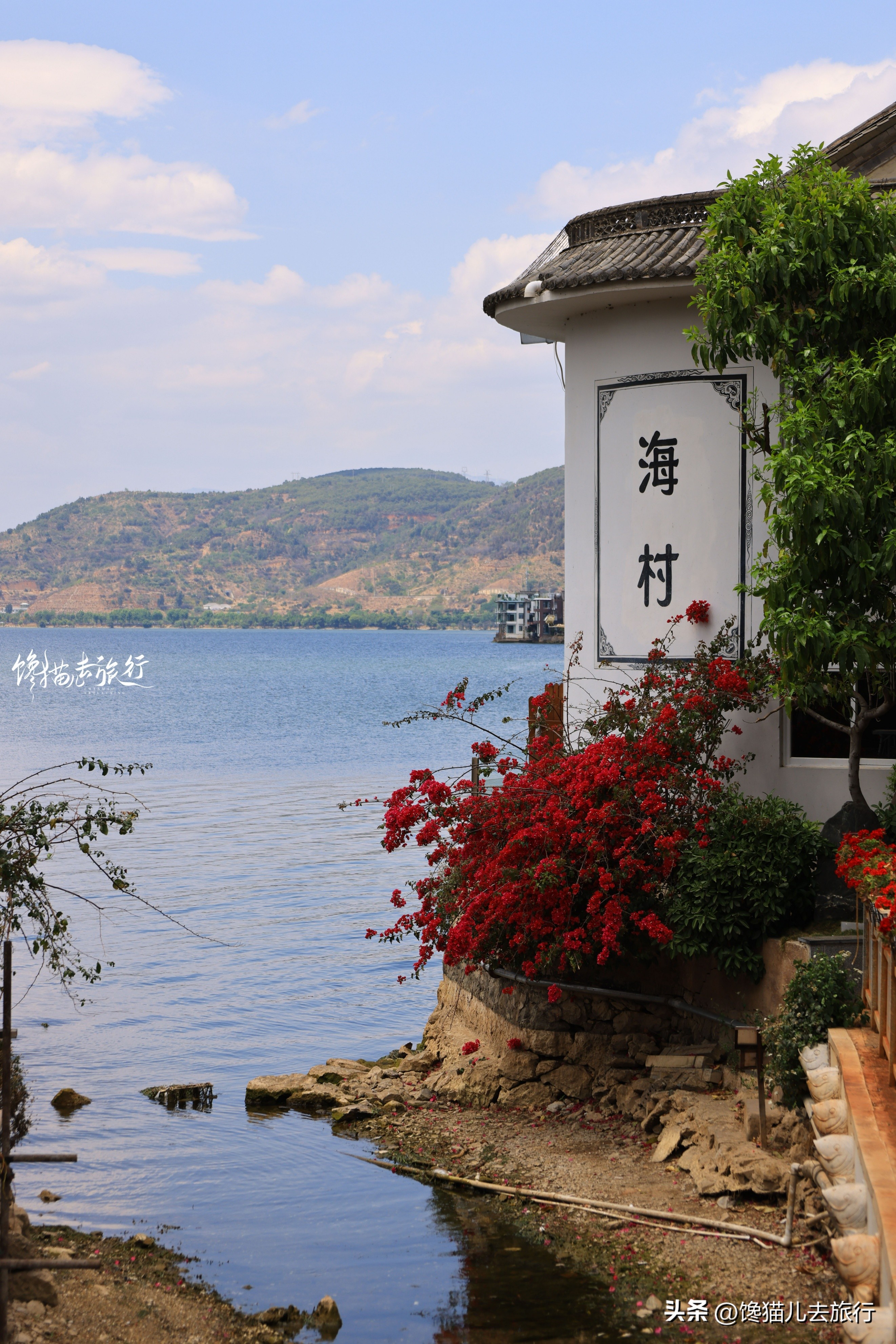 春节期间大理有哪些景点门票免费,大理免费景点一览表