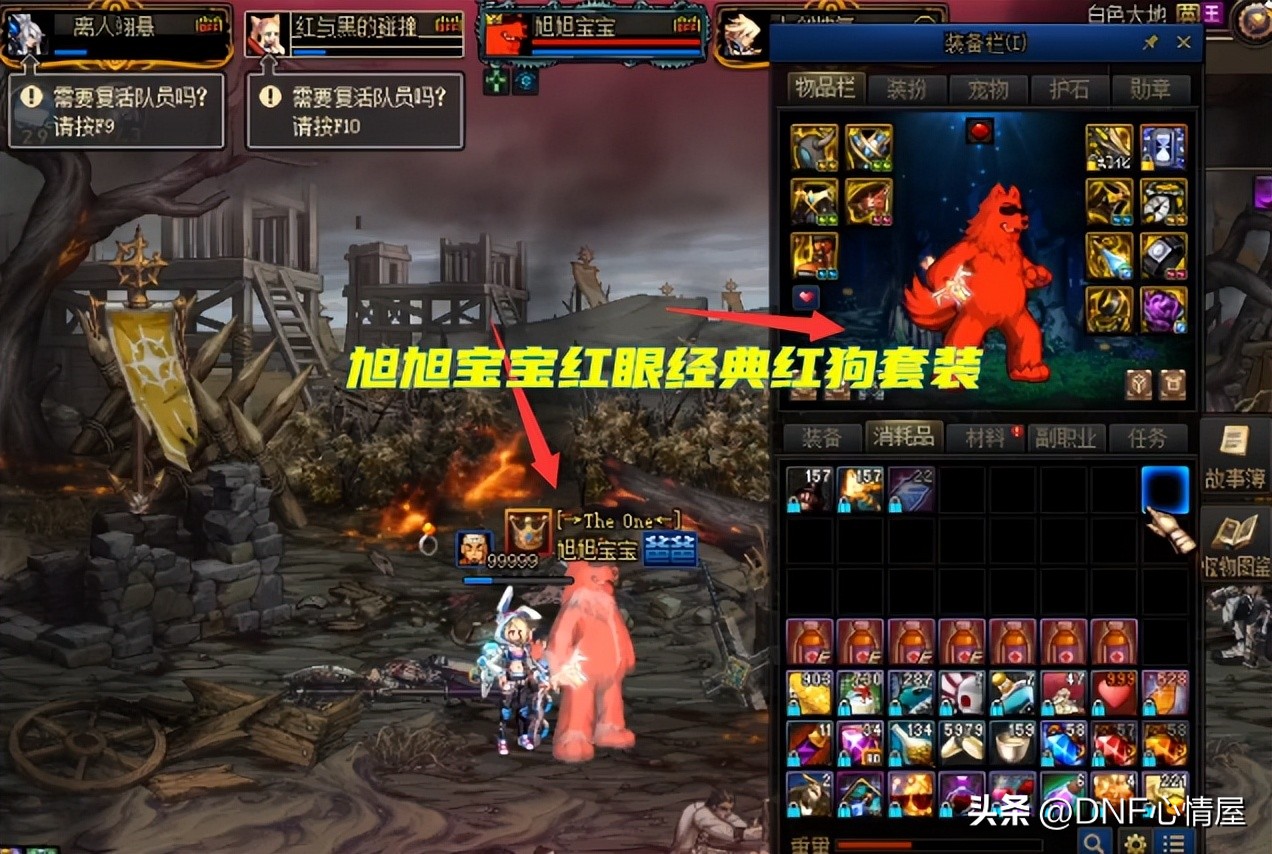 dnf新版动物套拍卖行,dnf大量强力装备加入金币疯狂上涨