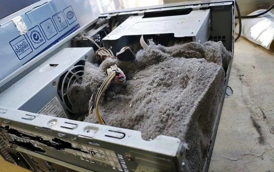 网红小家电怎么买,网红小家电爆火