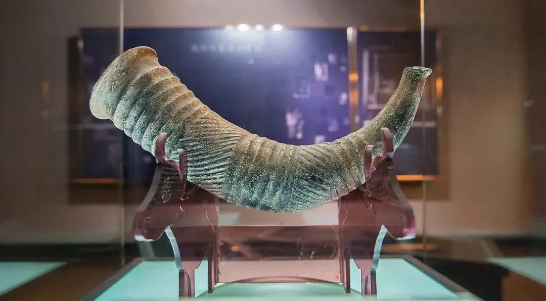 什么是*物文**，一起来学习！