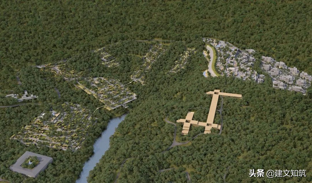 waf2023世锦赛,waf国内排名