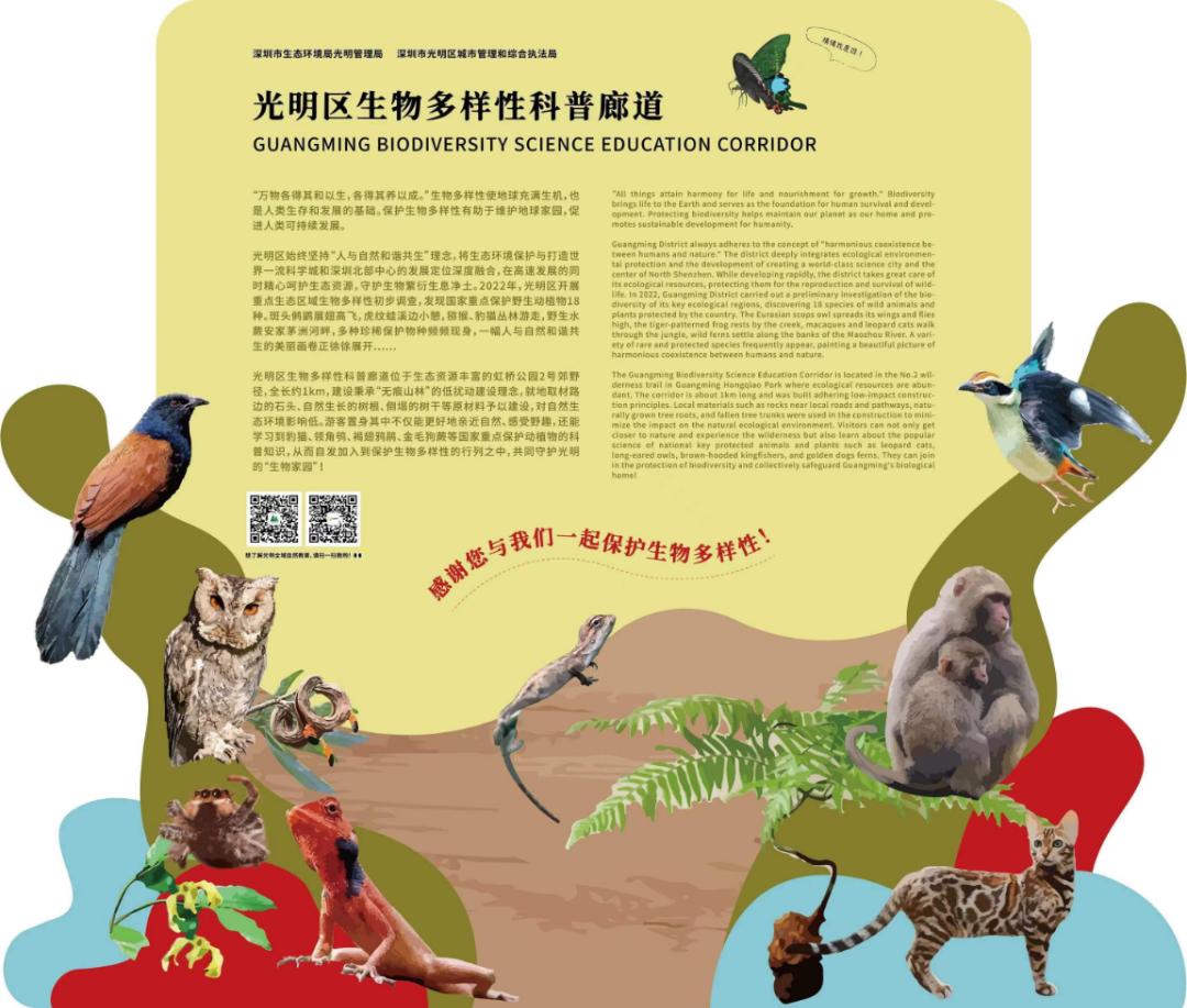 端午假期光明活动超精彩！音乐live、摘荔枝、包粽子……等你解锁！